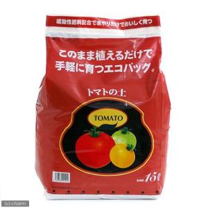 いちご 苗 ビッグハニー 販売 大粒 病気に強い ジャンボプランター