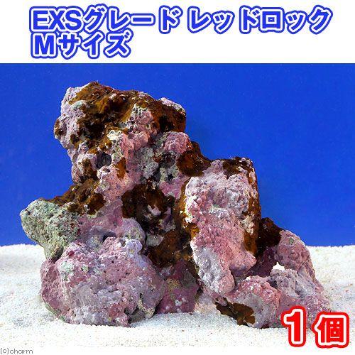 （海水魚）ライブロック　ＥＸＳグレード　レッドロック　Ｍサイズ（１個）（形状お任せ）　北海道・九州航...