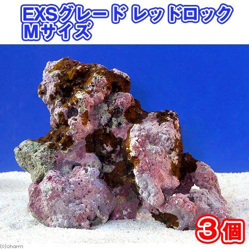 （海水魚）ライブロック　ＥＸＳグレード　レッドロック　Ｍサイズ（３個）（形状お任せ）　北海道・九州航...