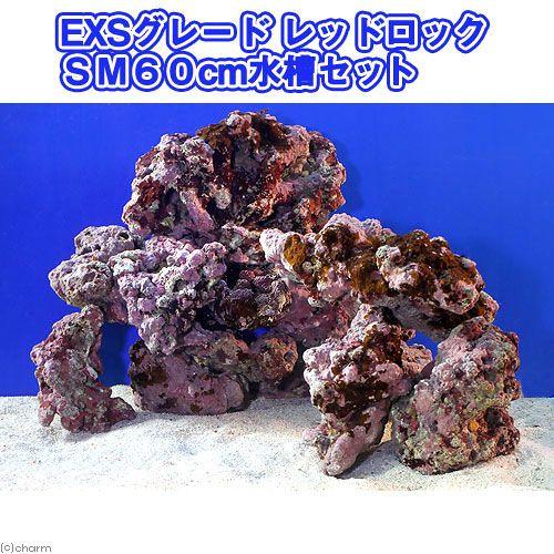 （海水魚）ライブロック　ＥＸＳグレード　レッドロック　６０ｃｍ水槽用（１セット）（形状お任せ）　北海...
