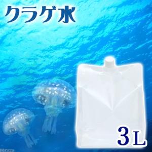 （海水魚）足し水くん　天然海水「クラゲ水」（海洋深層水）　３リットル　クラゲ飼育　アクアリウム　航空便不可　沖縄不可