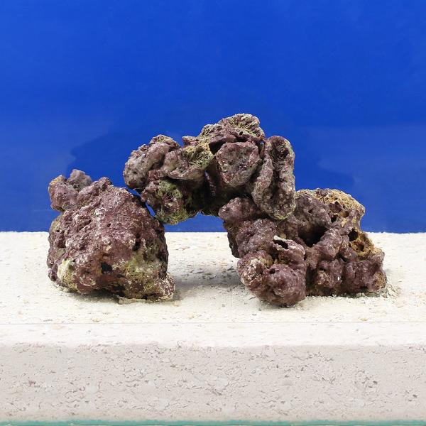 （海水魚）Ｓグレードライブロック　ＳＳサイズ（３００ｇ）（形状お任せ）　北海道・九州航空便要保温