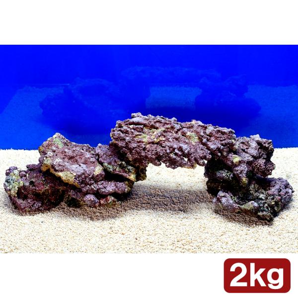 （海水魚）ライブロック　プレート状　サイズミックス（２ｋｇ）　北海道・九州航空便要保温