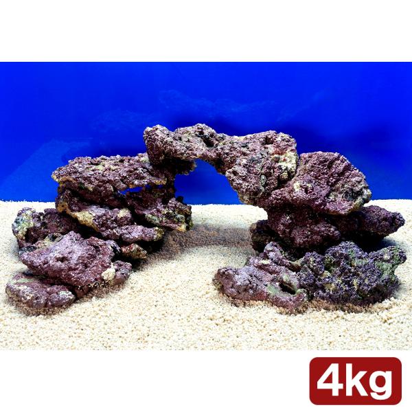 （海水魚）ライブロック　プレート状　サイズミックス（４ｋｇ）　北海道・九州航空便要保温