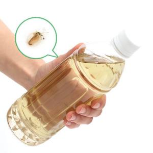 （生餌）死着保証あり　オオミジンコ入り飼育水（５００ｍｌ）　３本セット　活餌