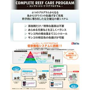 人工海水 レッドシー レッドシーソルト 10L...の詳細画像2