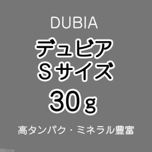 (生餌)死着保証あり デュビア(アルゼンチンモ...の詳細画像1
