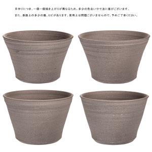(ビオトープ)(水草)姫睡蓮(ヒメスイレン)(...の詳細画像3