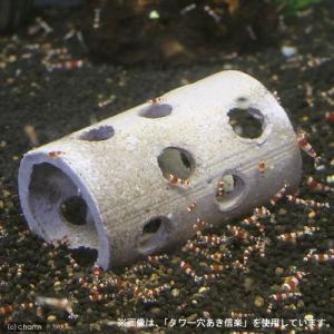 アウトレット品　益子焼　タワー穴あき　炭化　訳あり｜チャーム charm ヤフー店