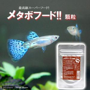 メタボフード 顆粒 20gの商品画像