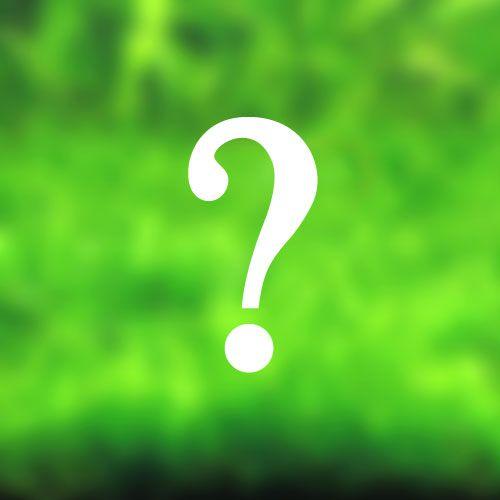 （水草）おまかせ前景草（水上葉）３種セット（無農薬）（１パック）