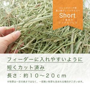 令和7年産 スーパープレミアムホースチモシーシ...の詳細画像1