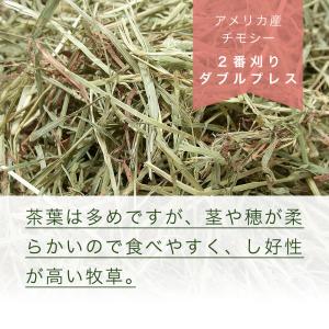 アメリカ産チモシー 2番刈 ダブルプレス チャ...の詳細画像1