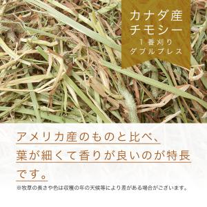 カナダ産チモシー 一番刈 ダブルプレス(チャッ...の詳細画像1