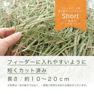 令和7年産 スーパープレミアムホースチモシー ...の詳細画像1