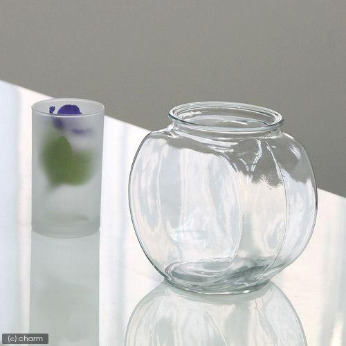 金魚鉢　おしゃれなガラス製金魚鉢　太鼓鉢　小（１．２リットル）　水槽