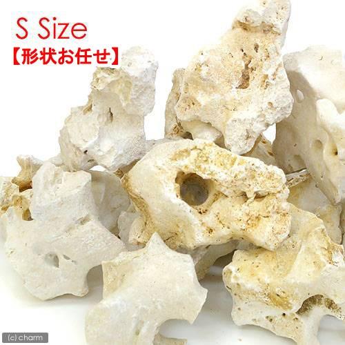 形状お任せ　化石サンゴ　Ｓサイズ（約１５〜２０ｃｍ）　１個　アクアリウム　レイアウト素材　メダカ　ア...