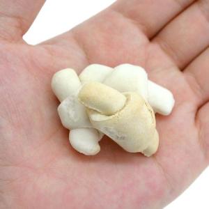 マルカン ぷちクロワッサン 40g 小動物 おやつの詳細画像1