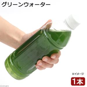 (生餌)死着保証なし グリーンウォーター 50...の詳細画像1