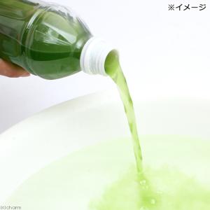 (生餌)死着保証なし グリーンウォーター 50...の詳細画像2