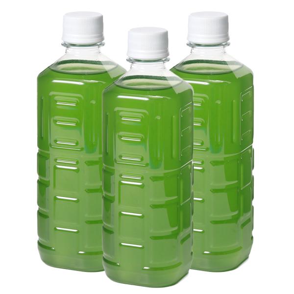 （生餌）グリーンウォーター　５００ｍｌ（３本）　北海道・九州航空便要保温