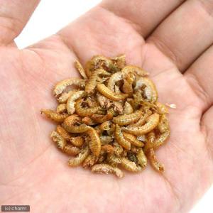 テトラ ガマルス 50g 爬虫類 カメ 餌 エ...の詳細画像1