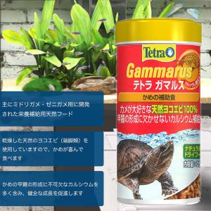 テトラ ガマルス 50g 爬虫類 カメ 餌 エ...の詳細画像2