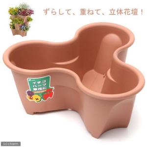 アウトレット品　リッチェル　ハーベリーポット　４３型　ブラウン　容量７Ｌ　家庭菜園　いちご　お一人様４点限り　訳あり