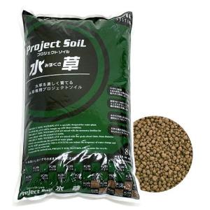超高機能性活性底床材 ブルカミアD 8kg 弱酸性 ディスカス 熱帯魚