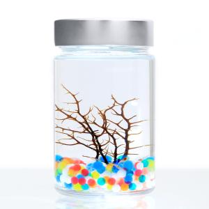 ボトルアクアリウムエビ ペット用品 生き物 の商品一覧 通販 Yahoo ショッピング
