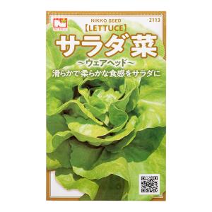 野菜の種　サラダ菜　品番：２１１３　家庭菜園｜chanet
