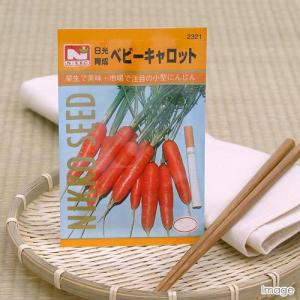 野菜の種　ベビーキャロット　品番：２３２１　家庭菜園｜chanet