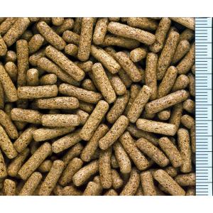キョーリン カメプロス 200g (大スティッ...の詳細画像2