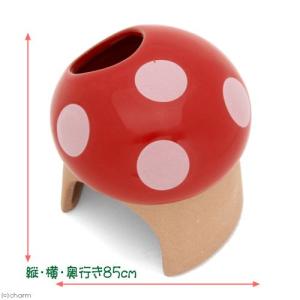 三晃商会 素焼きハウス きのこ ドワーフ ハム...の詳細画像1
