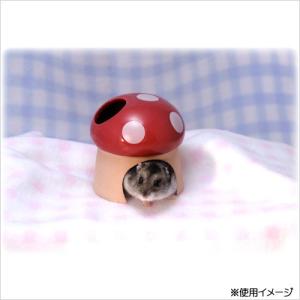 三晃商会 素焼きハウス きのこ ドワーフ ハム...の詳細画像3