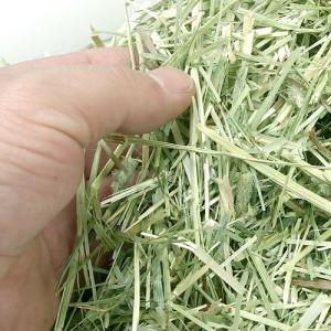 マルカン 牧草物語 ハーブ入 お徳用 900g...の詳細画像1