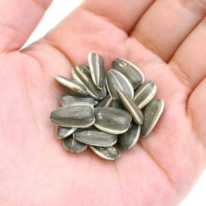 マルカン 大粒ひまわりの種 お徳用 400g ...の詳細画像1