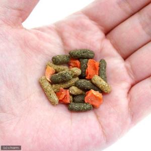 GEX シートン ウサギの健康食 にんじんプラ...の詳細画像1