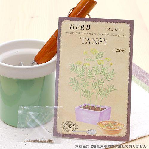 賞味期限：２０２４年５月３１日　ハーブ　ＨＥＲＢ　（タンジー）　品番：８３７　家庭菜園　訳あり