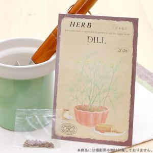 ハーブ　ＨＥＲＢ　（ディル）　品番：８１８　家庭菜園｜chanet