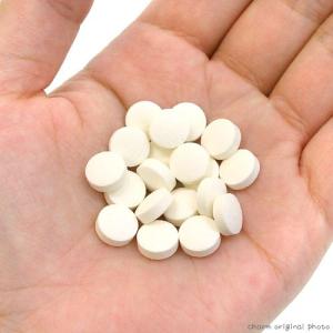 三晃商会 パパイヤサプリ(お徳用) 100g ...の詳細画像1