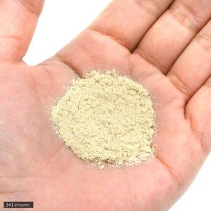 レプラーゼ 100g 爬虫類 サプリメント 添加剤の詳細画像1