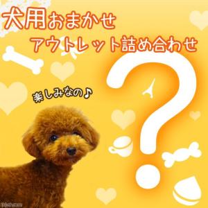 アウトレット品　犬用いろいろ詰め合わせ　お楽しみセット　犬用　訳あり