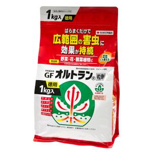 住友化学園芸　ＧＦオルトラン粒剤　徳用　１ｋｇ（袋入り）　アオムシ　コナジラミ　カイガラムシ　アブラムシ　殺虫剤｜チャーム charm ヤフー店