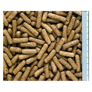 キョーリン カメプロス 550g (大スティッ...の詳細画像2