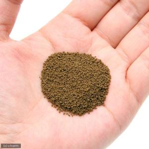 キョーリン メダカのエサ 産卵・繁殖用 40g...の詳細画像1