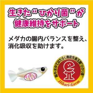 キョーリン メダカのエサ 産卵・繁殖用 40g...の詳細画像5