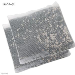 GEX メガバイオカーボン 220g(110g...の詳細画像2