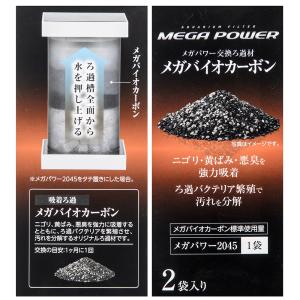 GEX メガバイオカーボン 220g(110g...の詳細画像4