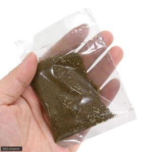 鈴虫(スズムシ)のたまご 約30ヶ入の詳細画像1